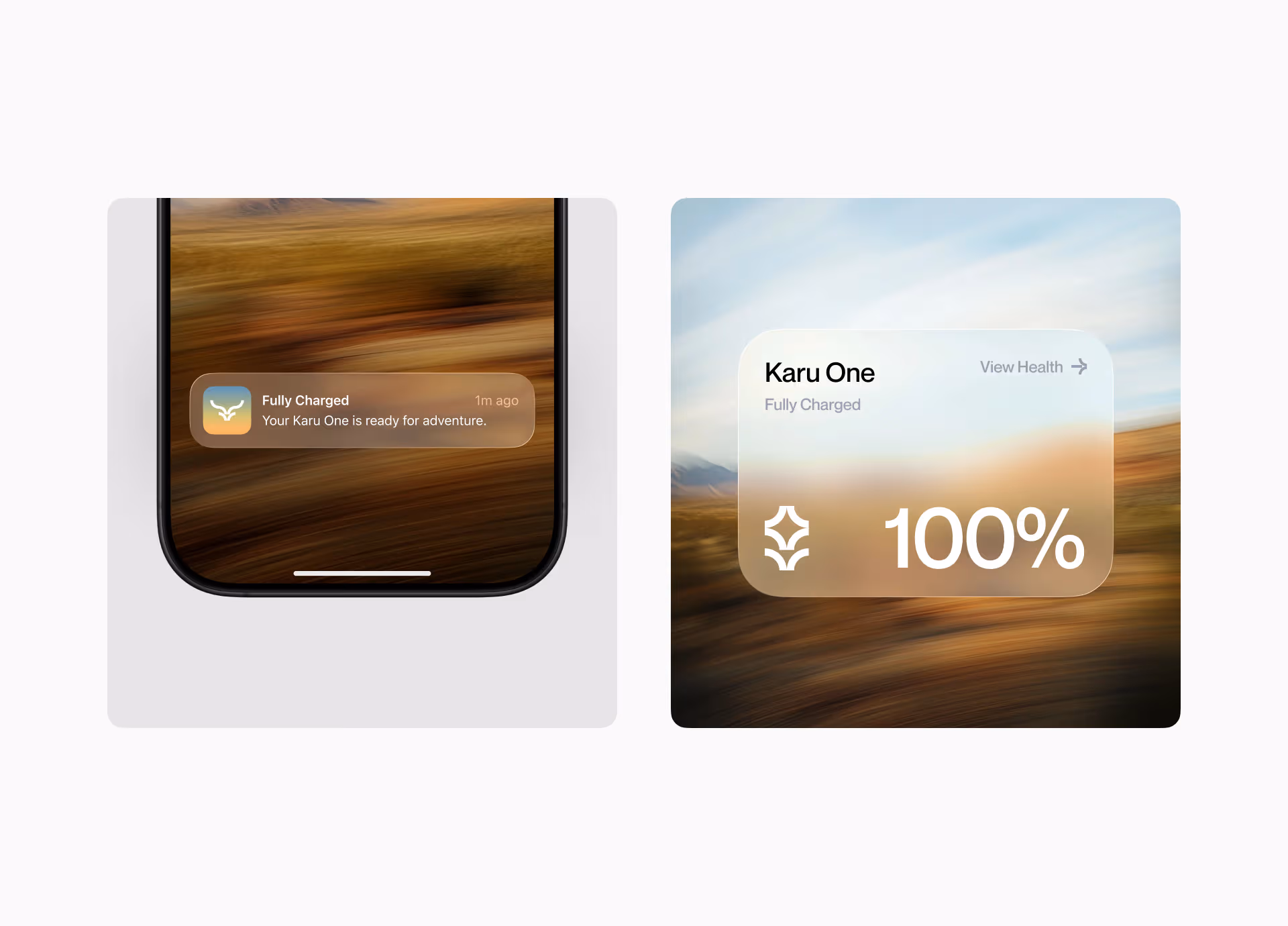 Mobile enquiry and customer workflow interface